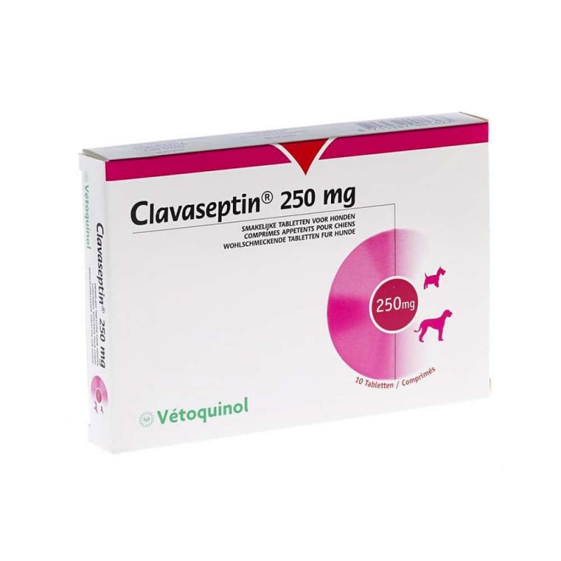 Clavaseptin 250 10 Comprimidos 
